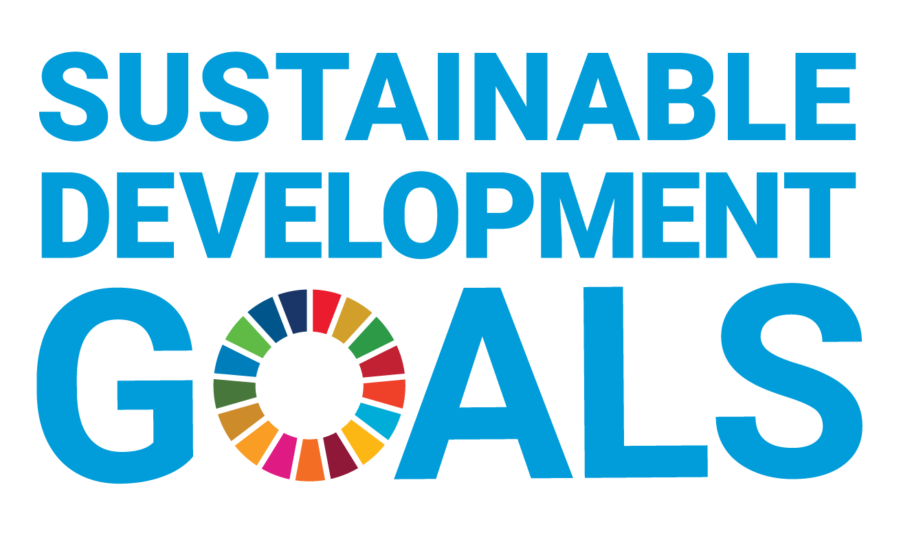 SDG logo without United Nations emblem